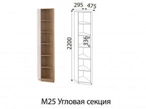 М25 Угловая секция в Сургуте - surgut.magazin-mebel74.ru | фото