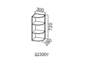 Ш300т/720 Шкаф навесной 300/720 (торцевой) в Сургуте - surgut.magazin-mebel74.ru | фото